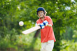 © famveldman - Kids playing cricket in summer park