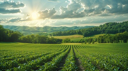 Wall Mural - Visualize the consequences of global warming on agricultural productivity with a graphic showing crop failures and shifts in growing seasons due to increased temperatures and CO2. high resolution