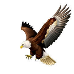 Eagle isolated on transparent background 