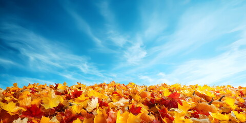 Autumn leaves and pumpkins against bright blue sky, seasonal nature background with copy space for fall themed designs