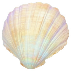 Wall Mural - PNG Iridescent seashell coastal decor