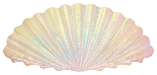 Poster - PNG Iridescent seashell decor item