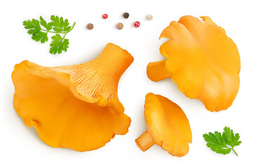 Wall Mural - Chanterelle mushroom isolated on a white background. Top view. Flat lay