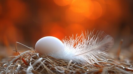 Poster -   A bird's feather and an egg on hay in a well-lit scene