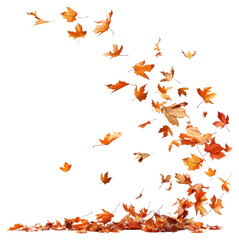 Canvas Print - PNG  Autumn leaves blowing in wind