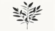 © Olga - A monochrome image depicting a tree branch adorned with foliage against a white backdrop, framed in black and white