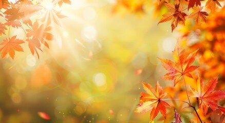 Sunlight shining onto colorful brown, orange and yellow autumn leaves in the forest. Beautiful, light seasonal fall background with blurred bokeh background effect.