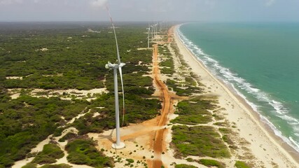 Wall Mural - Wind turbines for electric power production on the seashore. Wind power plant. Ecological landscape. Mannar, Sri Lanka.