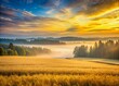 © Man888 - Serene landscape featuring a vibrant yellow crop field in the foreground, misty forest in the distance, bathed in soft golden and blue hues of sunrise in Latvia.