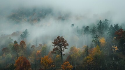 Wall Mural - Captivating autumn landscapes  enchanting scenes of misty mornings amidst fall foliage