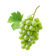 Canvas Print - Bunch of fresh green grapes with leaves, isolated on transparent background