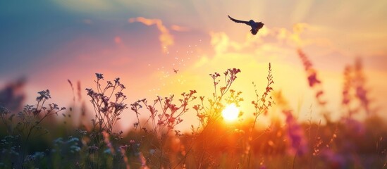 Poster - Sunset over a Field of Wildflowers