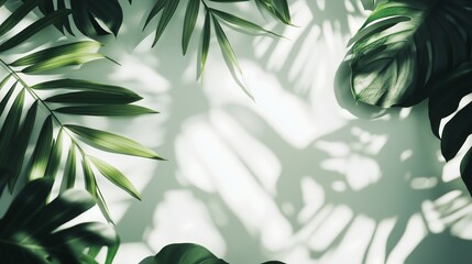 Wall Mural - Lush Tropical Foliage and Shadows Creating a Serene Atmosphere