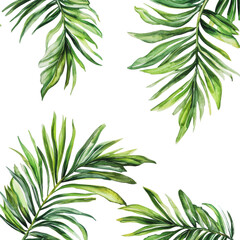 Poster - PNG Watercolor illustration of green palm leaves on a white background