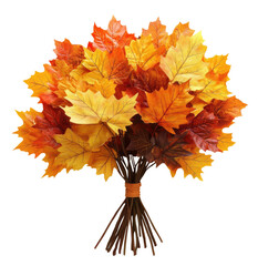 Wall Mural - Bouquet of autumn maple leaves isolated on transparent background