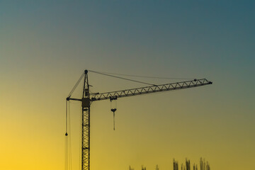 Construction crane against background of a sunset sky without clouds with yellow and blue shades with the tops of vertical mounted bundles of reinforcement. Construction sites, blanks for art works