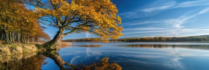 Wall Mural - Vibrant natural scenery featuring a yellow-leaved tree beside a lake, with its trunk mirrored in the water beneath a clear blue sky.