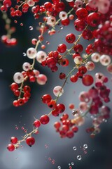 Poster - Fresh red and white berries grow on a branch