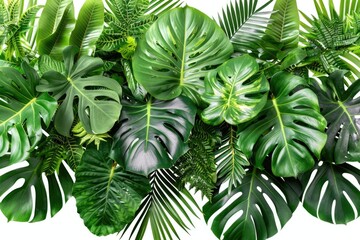 Poster - A close-up shot of a bunch of green leaves on a white background, perfect for use in designs and illustrations