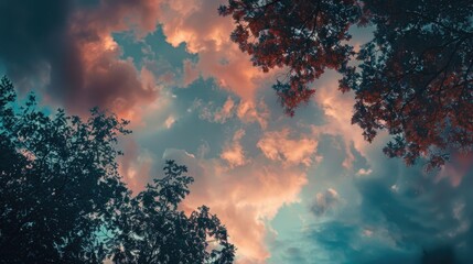 Aufkleber - Picture of trees and clouds against blue sky
