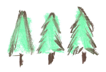 Poster - Coniferous tree hand draw, chalk sketching isolated on white