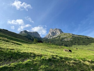 Sticker - Wanderung Werfenweng Tennengebirge