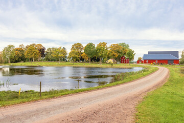 Poster - Farm house by a lake with a gravel road an autumn day