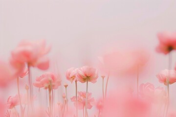 Fototapete - Abstract Floral Symmetrical Blurry Pink Ranunculi in Pastel Garden with Beige Sky Background, Soft Tones, and Wide-Angle Perspective