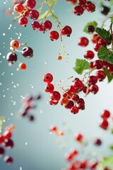 Poster - Fresh red berries growing on a tree branch