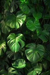 Poster - A close-up shot of a bunch of green leaves with intricate details