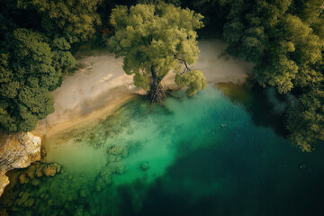 Wall Mural - Aerial view of the water