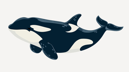 Sticker - Orca illustration marine life