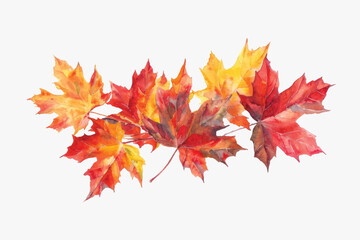 colorful autumn maple leaves watercolor