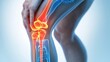 © Fxquadro - Illustration of knee pain with highlighted joint area.