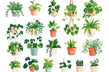 Poster - A collection of small potted plants on a clean white surface, perfect for decorative or educational purposes