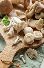 Wall Mural - Assortment of various mushrooms