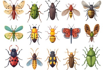 Aufkleber - A variety of colorful bugs on a white background, suitable for illustrations and designs