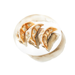 Wall Mural - Watercolor illustration of grilled dumplings on a plate on white background