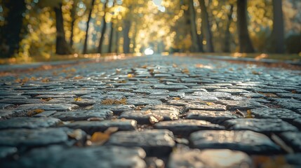 Poster - A quiet and serene scene of a cobblestone road surrounded by lush green trees, perfect for use as a backdrop or in landscape photography