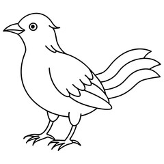 Poster - hand drawn bird outline illustration