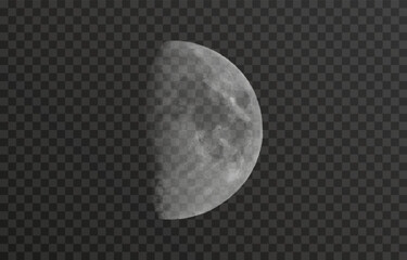 Wall Mural - realistic vector moon on an isolated transparent background. moon vector png. dark night with vector
