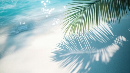 Canvas Print - Palm Leaf Shadow on a Sandy Beach