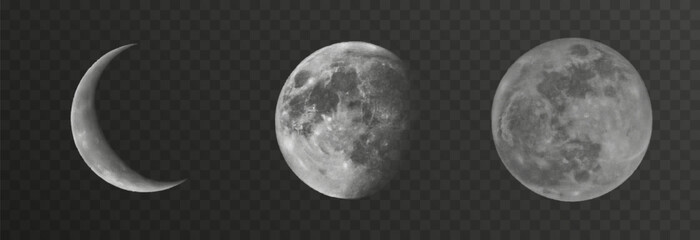 Wall Mural - set of realistic vector moon on an isolated transparent background. moon vector png.