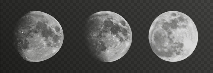 Wall Mural - set of realistic vector moon on an isolated transparent background. moon vector png.