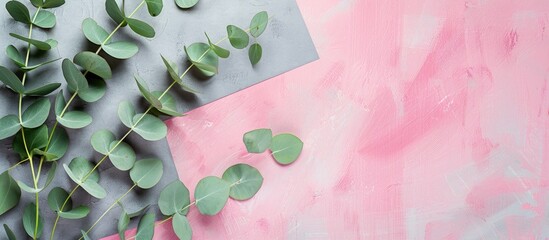 Aufkleber - Top view of eucalyptus branches and leaves arranged on a gray and pink paper background creating a flat lay composition with copy space image