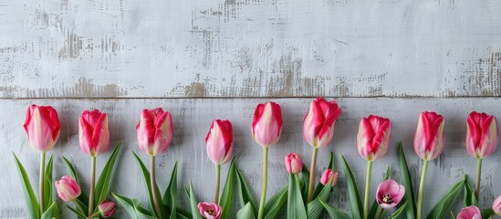 Wall Mural - Pink tulips arranged on a light plywood background with space for text or copy suitable as a postcard template featuring a copy space image