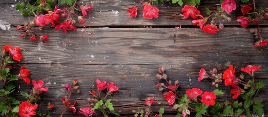 Aufkleber - Geranium flowers displayed on a rustic wooden board with empty space for text or images. Creative banner. Copyspace image