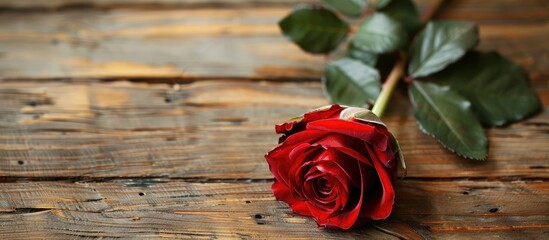 Aufkleber - Rose on wooden table with copy space image