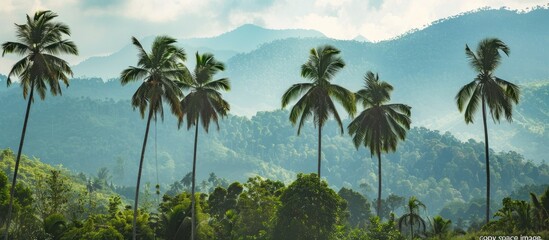 Fototapete - Lush green palm trees standing tall against a backdrop of hazy blue mountains creating a tropical vacation vibe Sky serves as the ideal copy space image