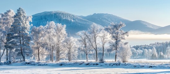 Aufkleber - Winter landscape with frosty trees and a mountain view suitable for a copy space image